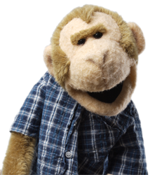 News Monkey