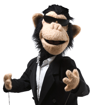 Puppet Consulting